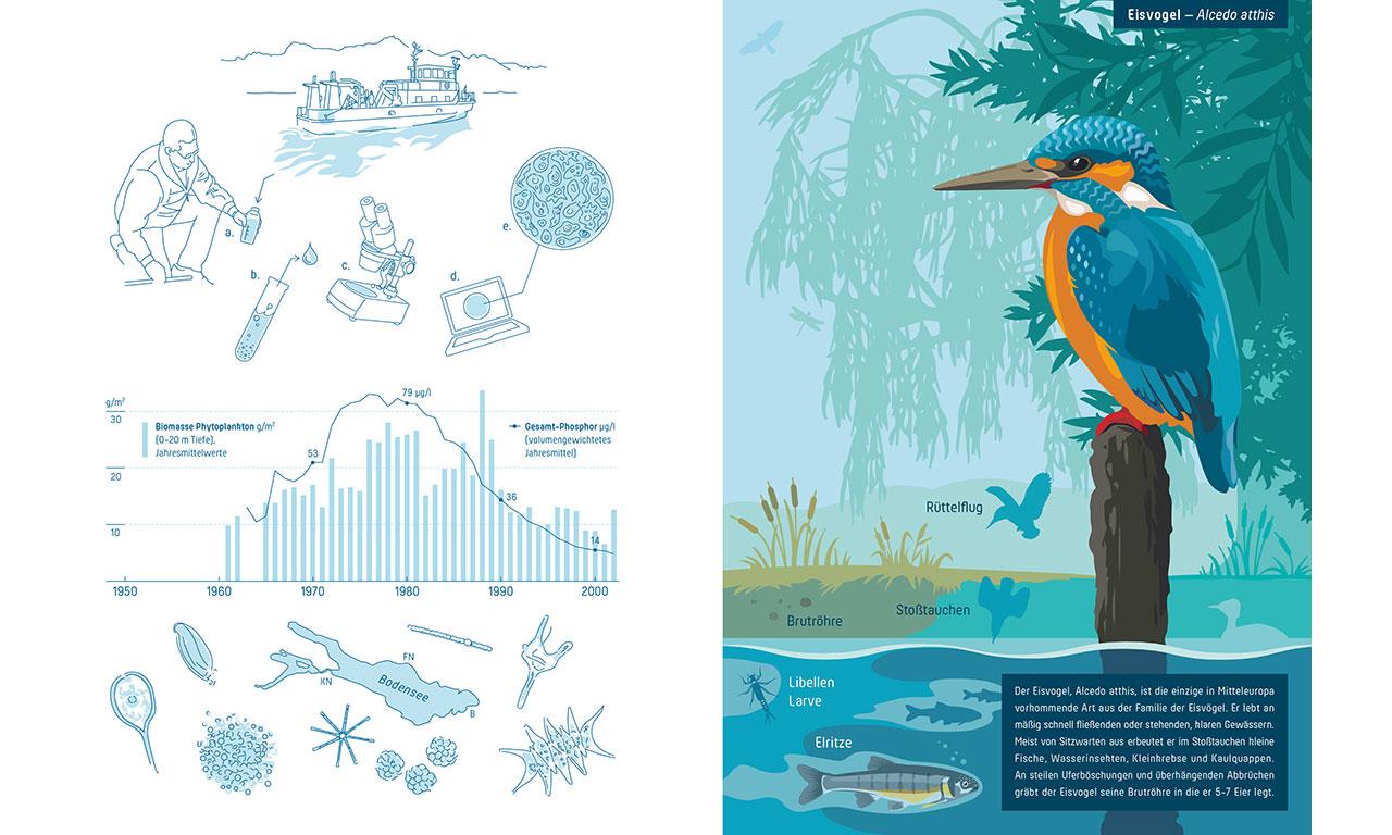 illustration-infografik-naturschutz-forschung-feierabend-design