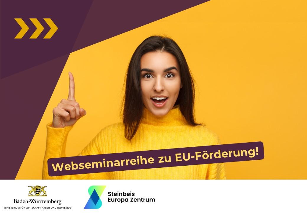 Webseminarreihe EU-Fördermöglichkeiten für Unternehmen und Start-Ups, Bild: Steinbeis