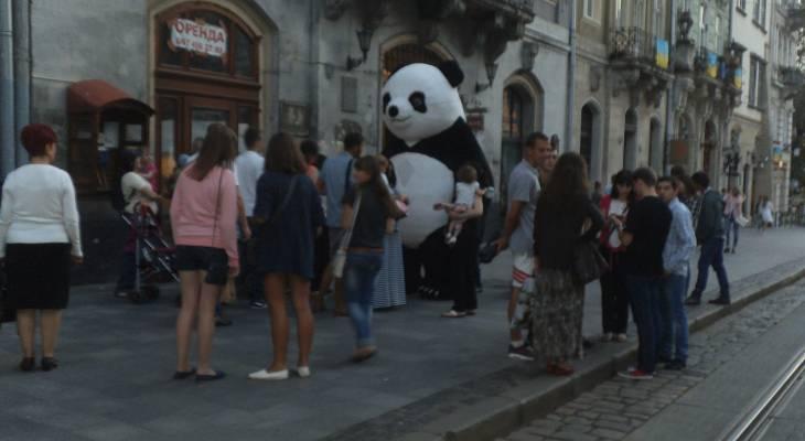 lviv14_013 lviv14_013
