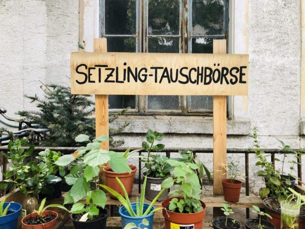 Die Setzling-Tauschbörse Die Setzling-Tauschbörse in der Oststadt