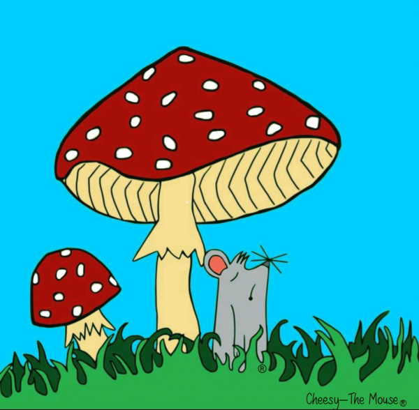 Pilz fertig druck (6) Pilz fertig druck (6)